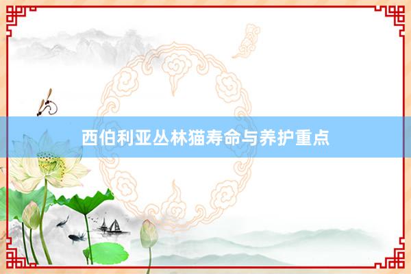 西伯利亚丛林猫寿命与养护重点