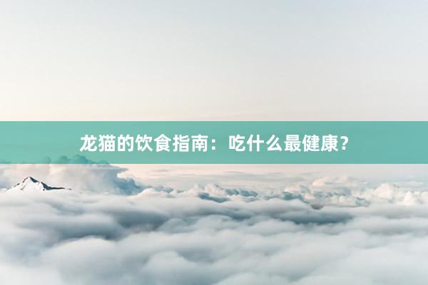 龙猫的饮食指南：吃什么最健康？