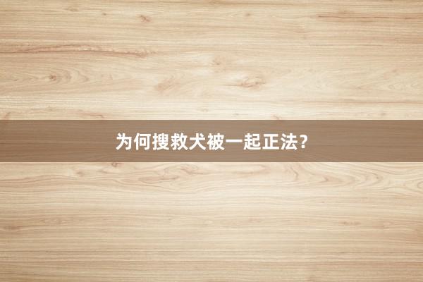 为何搜救犬被一起正法？